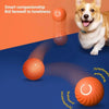 Automatic Interactive Dog Ball