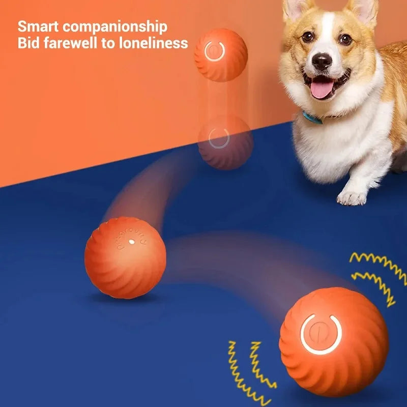 Automatic Interactive Dog Ball