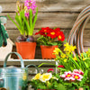 A collection of gardening tools, including leather gloves, potted flowers, and a metal watering can on a wooden surface.