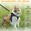 A fluffy orange and white cat wearing a black breathable air mesh harness in a grassy outdoor setting.