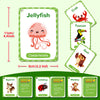 A set of animal flash cards featuring jellyfish, crab, toucan, owl, squirrel, ladybug, and monkey for early learning.