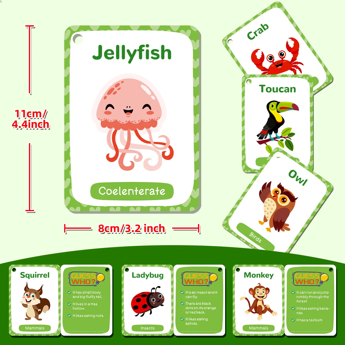 A set of animal flash cards featuring jellyfish, crab, toucan, owl, squirrel, ladybug, and monkey for early learning.