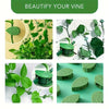 Green invisible plant wall clips used to secure and beautify climbing vines.