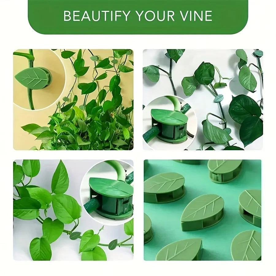 Green invisible plant wall clips used to secure and beautify climbing vines.