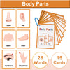 A set of 15 cards showing various body parts like nose, ear, back, foot, and eyebrow for children's vocabulary learning