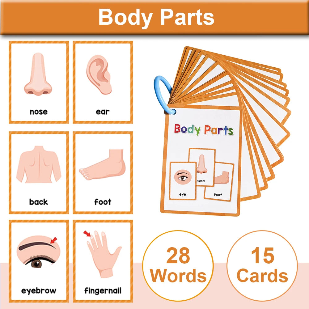 A set of 15 cards showing various body parts like nose, ear, back, foot, and eyebrow for children's vocabulary learning