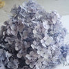 Preserved Hydrangea Flower Heads for Crafts and Home Decor