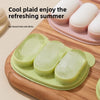 Silicone Baby Fruit Feeder with Freezer Tray Set