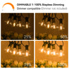G40 Globe String Lights for Outdoor Use