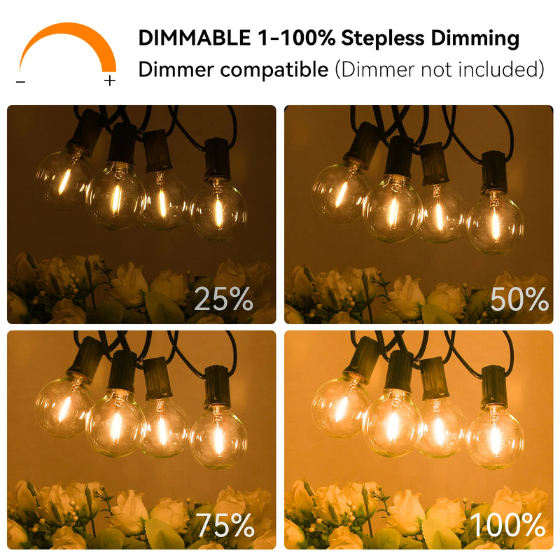 G40 Globe String Lights for Outdoor Use