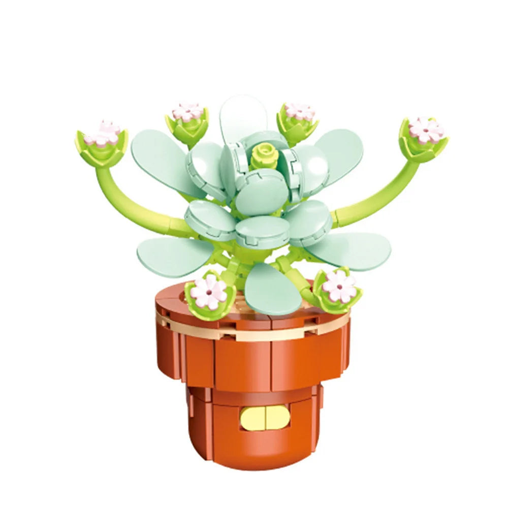 DIY Succulent Plant Building Block Bouquet