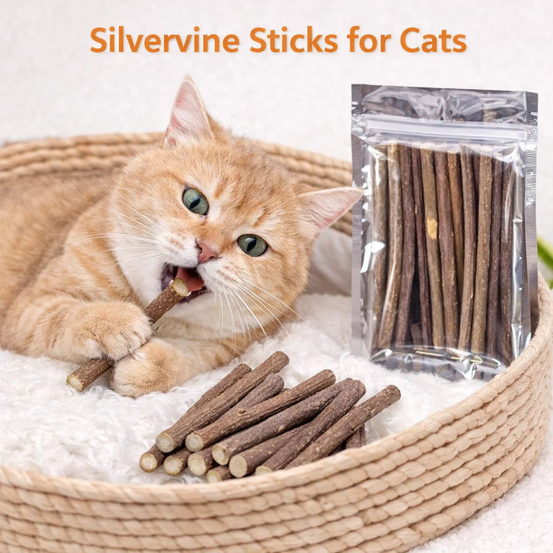 Palos de Mordida de Silvervine Natural para Gatos