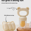 Silicone Baby Fruit Feeder with Freezer Tray Set