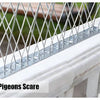 Bird repeller spikes against pigeons scare shown on a white railing.