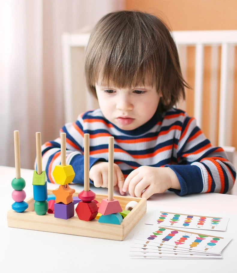 Montessori Wooden Color & Shape Matching Puzzle for Toddlers