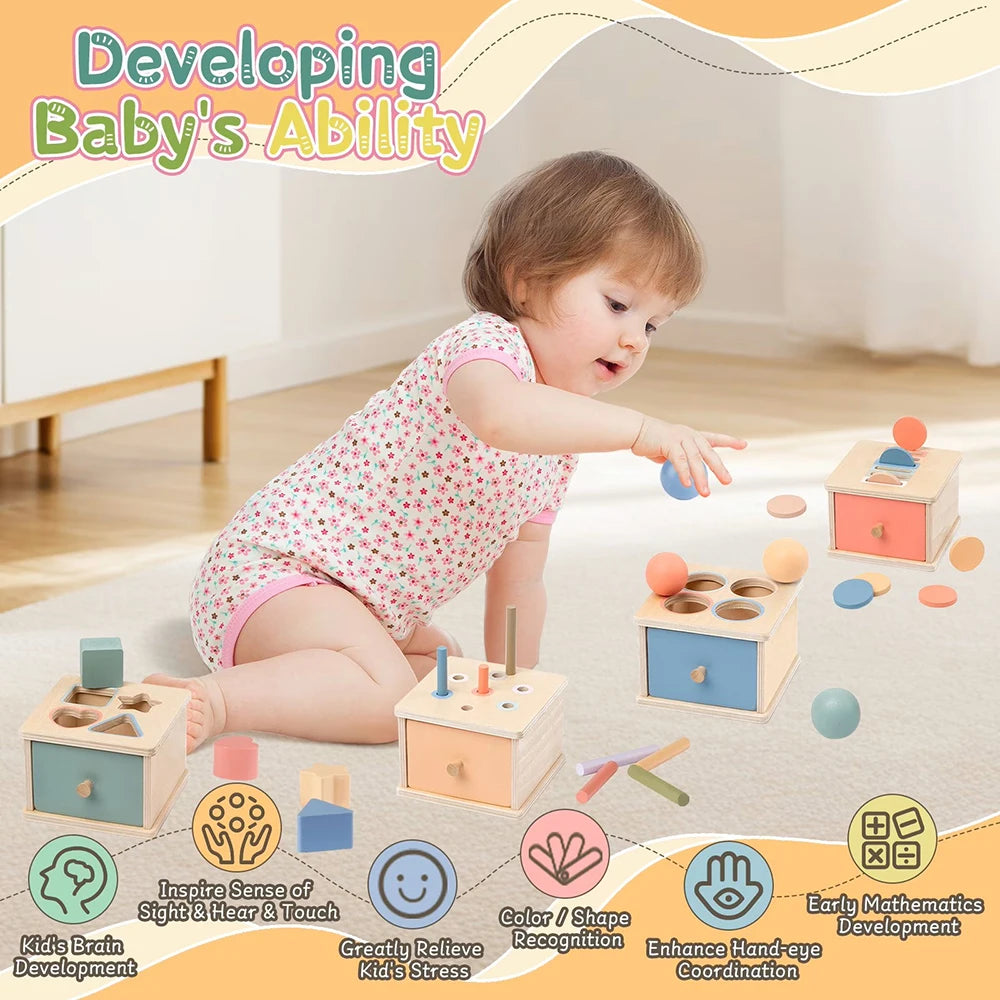 Montessori 4-in-1 Wooden Color Sorting & Shape Matching Box for Toddlers