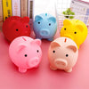 Charming Piggy Bank for Kids and Home Decor