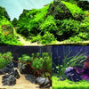 Natural grey aquarium stones used for aquascaping and fish tank decoration.