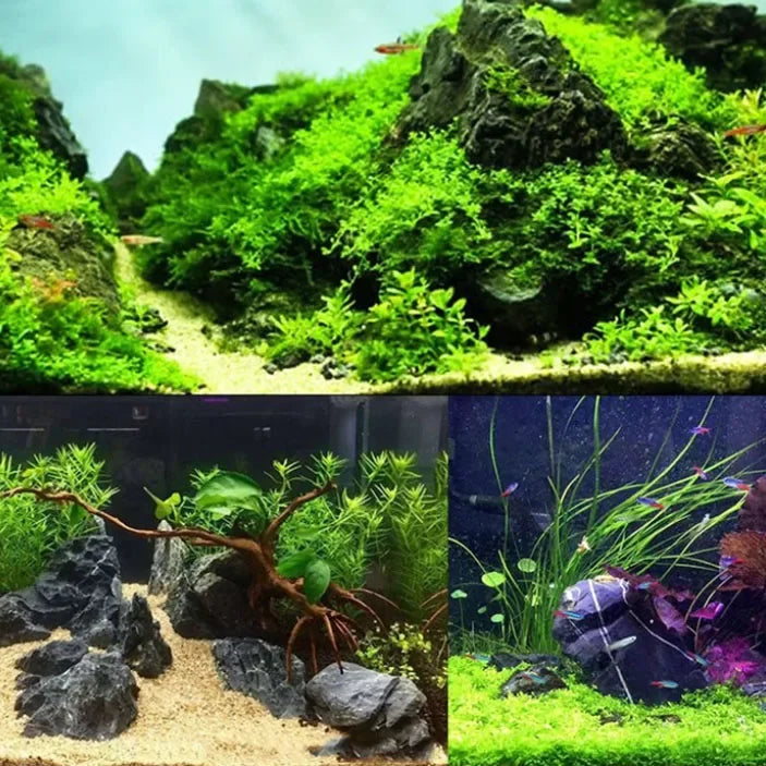 Natural grey aquarium stones used for aquascaping and fish tank decoration.