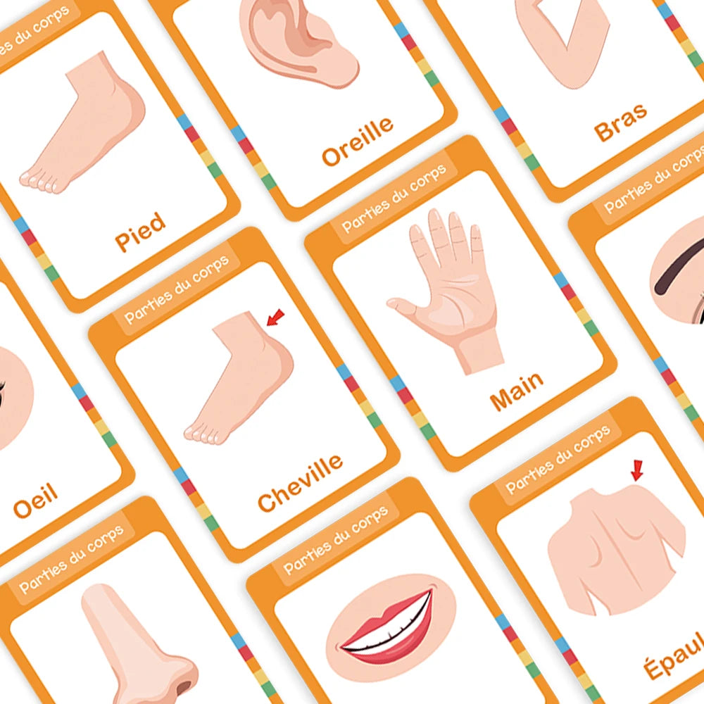 French Vocabulary Flashcards for Kids - Food, Animals, Fruits & Body Parts