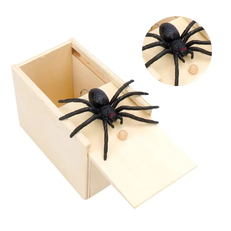 A wooden box containing a black spider and a separate circular display of a black spider.