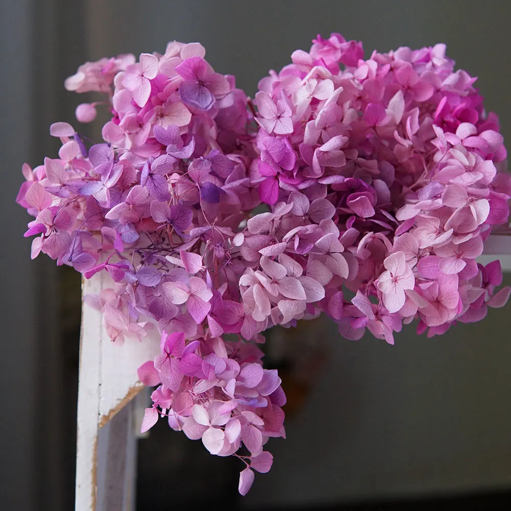Preserved Hydrangea Flower Heads for Crafts and Home Decor