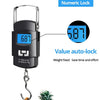 A black digital luggage scale with a numeric lock and auto-lock feature is shown hanging over a fruit basket.