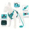 Adjustable Reflective Dog Harness & Leash Set