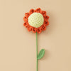 Handcrafted Crochet Tulip Bouquet – Artificial Knitted Flowers for Home Décor & Gifting