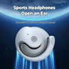 Real-Time Translation Earbuds
