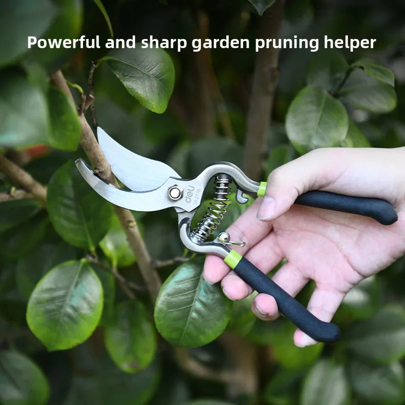 A hand holds a silver pruning shear with a black grip, positioned near green leaves on a tree branch.