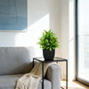 Realistic Mini Eucalyptus Potted Plant with Black Pot