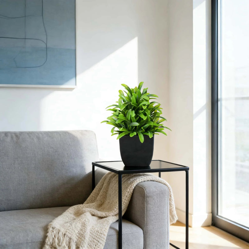 Realistic Mini Eucalyptus Potted Plant with Black Pot