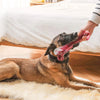 Bacon-Scented Rubber Chew Bone for Dogs