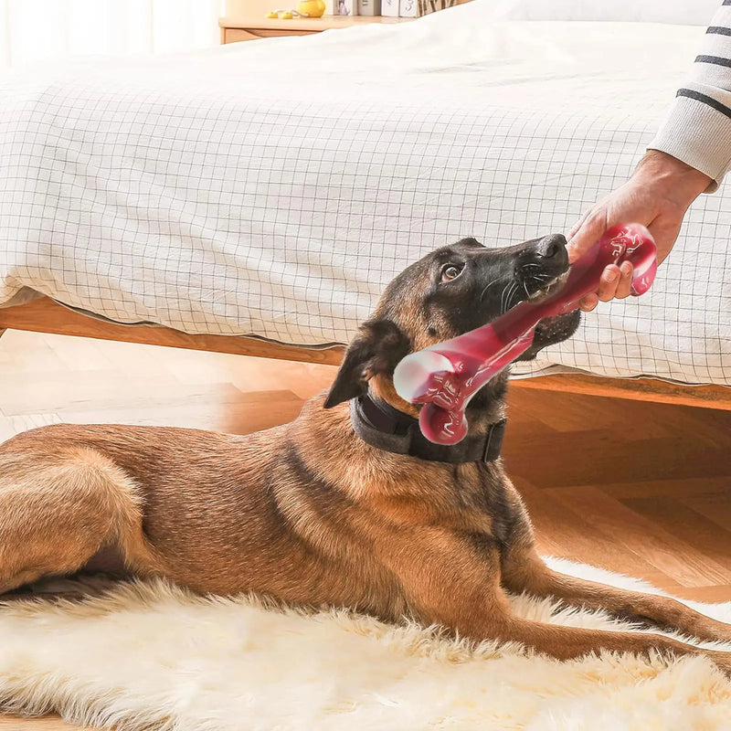 Bacon-Scented Rubber Chew Bone for Dogs