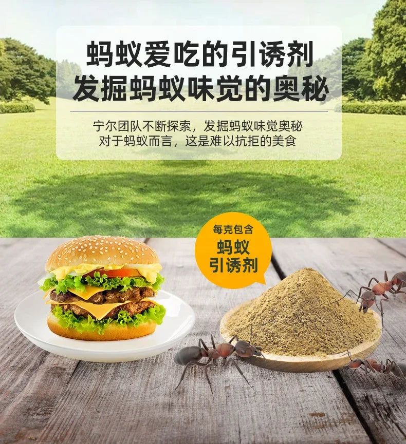 A hamburger next to a pile of dried ants used as bait for ants.