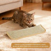 Interactive Catnip Pillow Toy