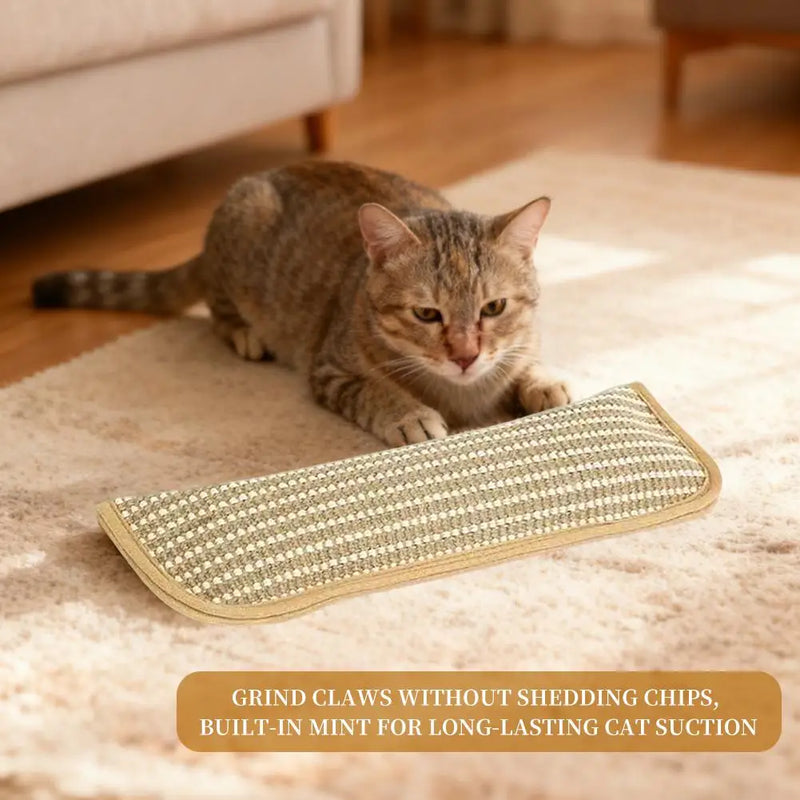 Interactive Catnip Pillow Toy