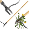 A pair of metal weed pullers with long wooden handles shown against a white background.