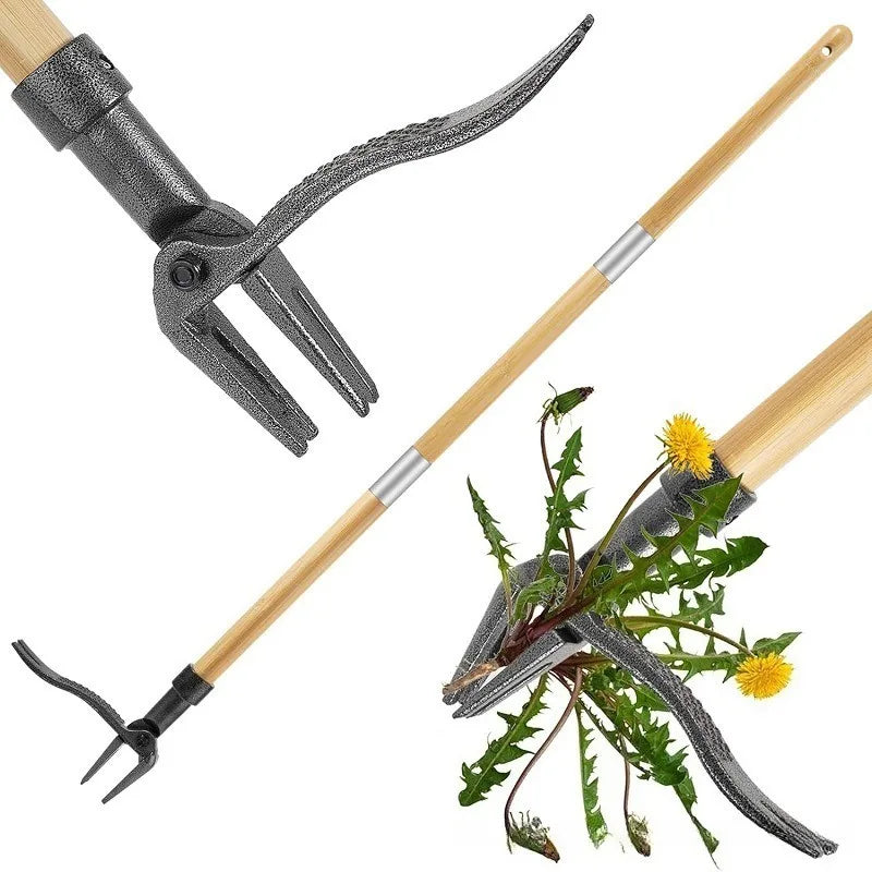 A pair of metal weed pullers with long wooden handles shown against a white background.