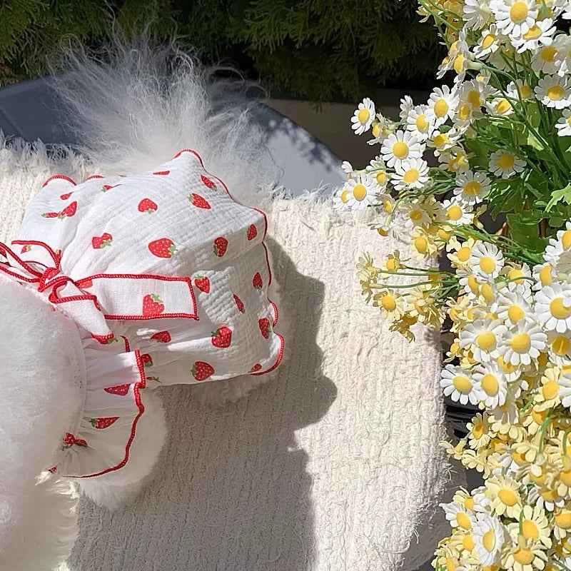 Strawberry Print Dog Dress
