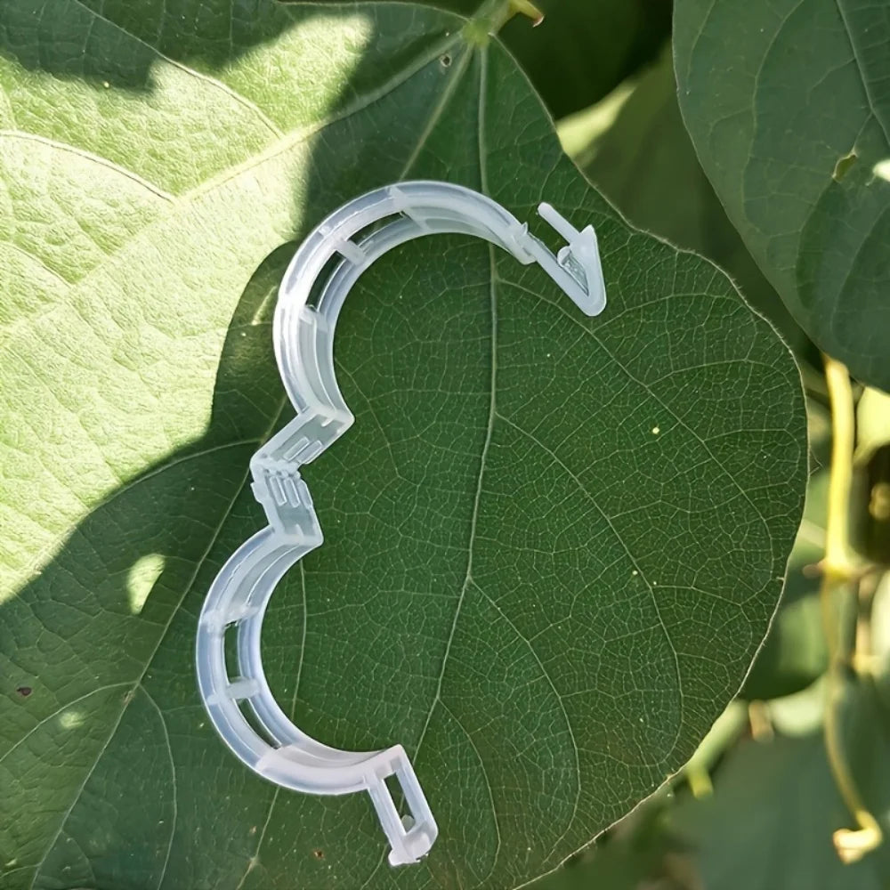 Clear reusable plastic plant clips used for garden support and vine fixing placed on a green leaf.