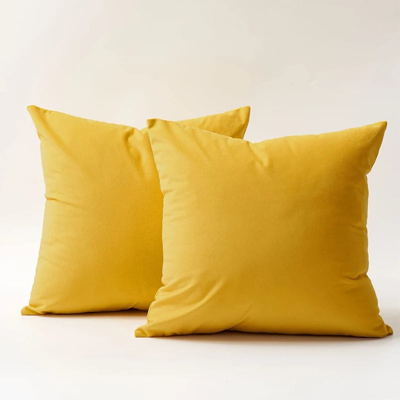 Velvet Throw Pillow Cover for Sofa and Bed Decor