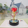 LED Rose Night Light