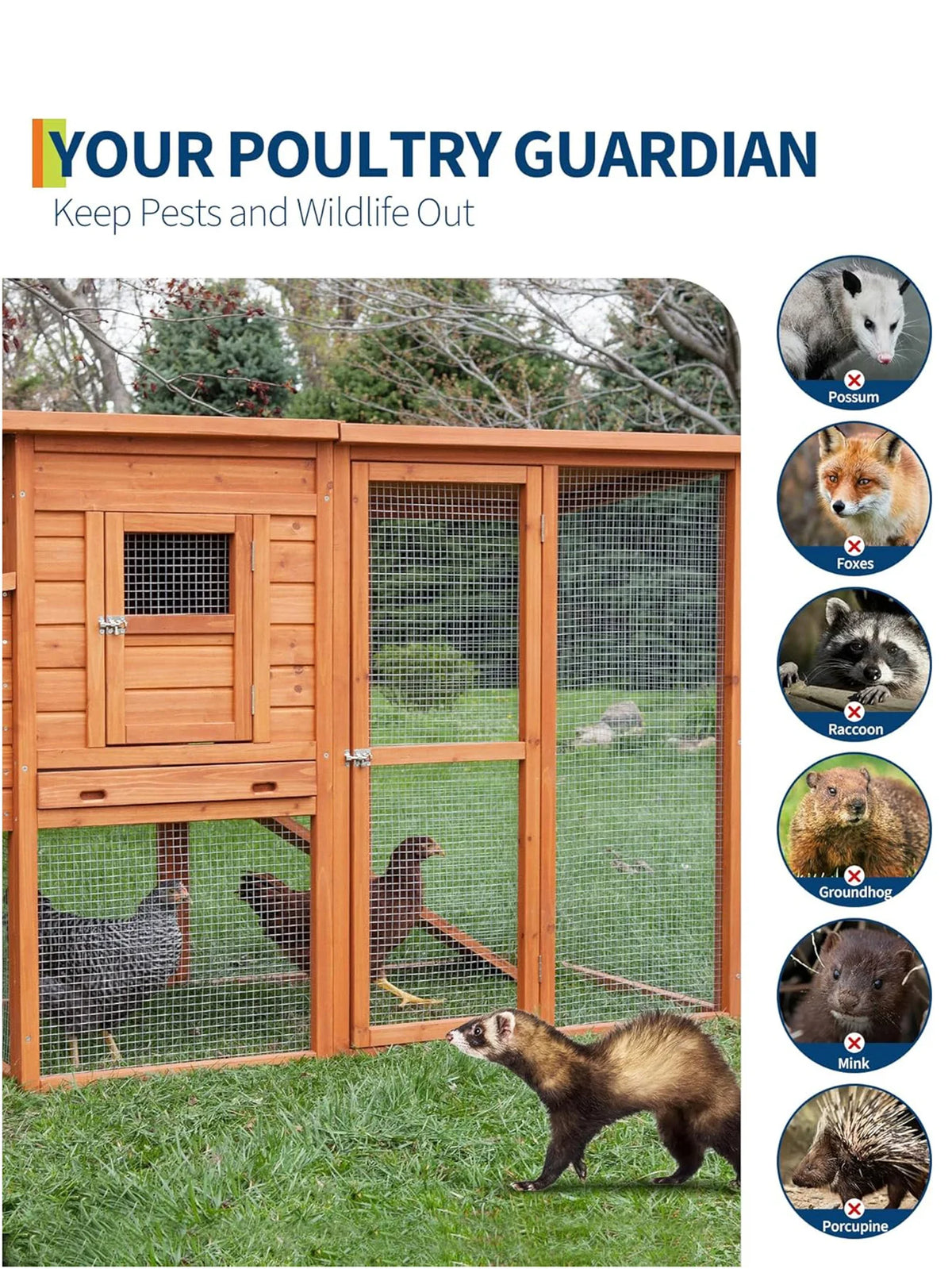 A wooden poultry guardian enclosure with wire mesh panels protecting livestock from pests and wildlife.