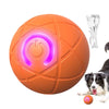 Interactive LED Rolling Ball Dog Toy