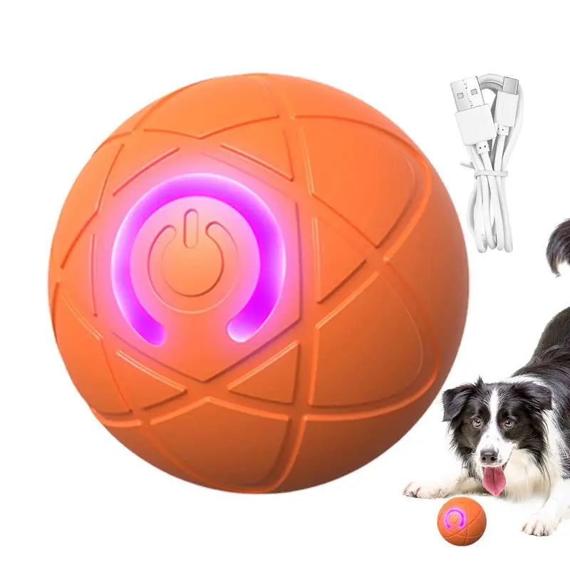 Interactive LED Rolling Ball Dog Toy