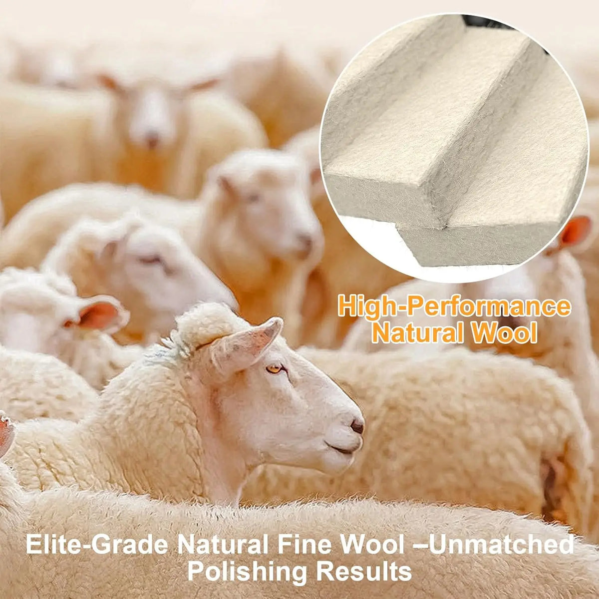 Close-up of a sheep with white wool in a farm setting, highlighting high-performance natural wool.