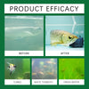 Aquarium Water Purifying Tablets for Clear, Healthy Tanks