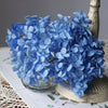 Preserved Hydrangea Flower Heads for Crafts and Home Decor